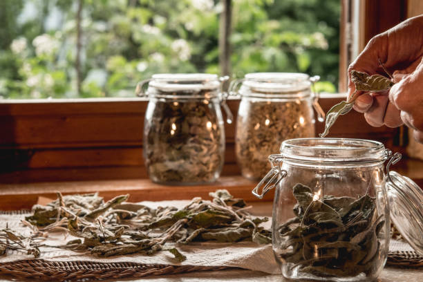 Woman's Hands Putting SageTea Leaves In A Jar