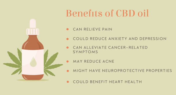 What is CBD Oil For Pain Relief? - Infographic. Benefit of CBD Hemp Oil web banner in organic color with bottle, pipette and marijuana leaf on pastel background. Natural remedy. Cannabis poster. Medicine for pain, anxiety. Vector flat