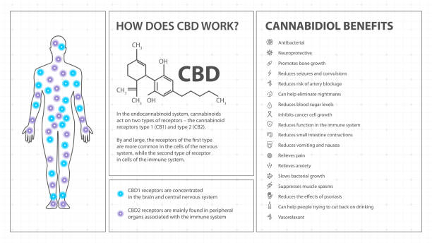 How does CBD works, white poster in minimalism style with infographics, cannabidiol chemical formula and cannabidiol benefits list