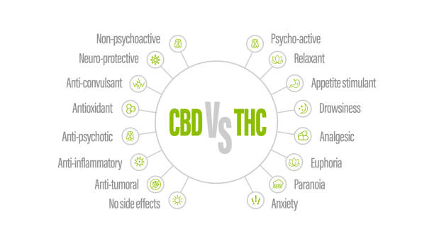 THC vs. CBD - White poster with comparison CBD and THC. CBD vs THC, list of differences with icons