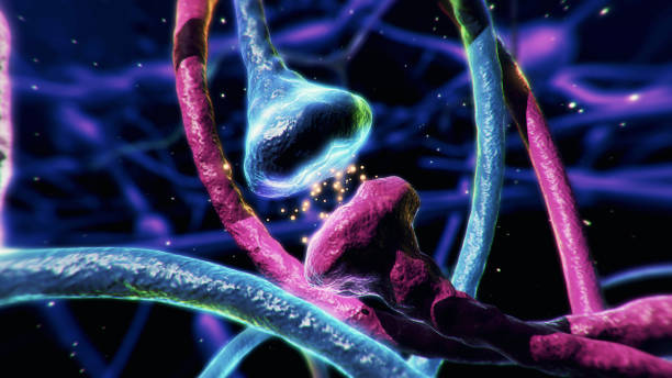 Brains Neurons,Synapse of neuron cell,information transfer at the cellular or atomic level.
