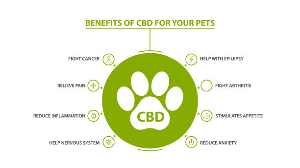 Information poster of Cannabidiol Benefits for your pets with infographic